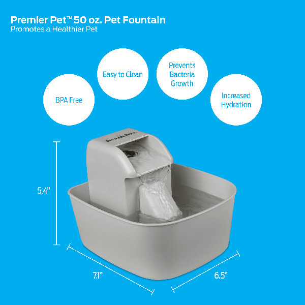 Premier Pet 50oz Pet Fountain & Reviews Wayfair